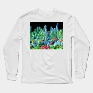 Oral bacteria, SEM (C029/3194) Long Sleeve T-Shirt